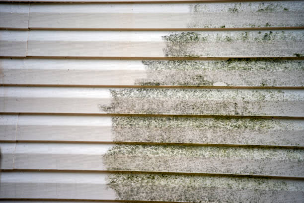 Shed Removal in Rochester Hills, MI